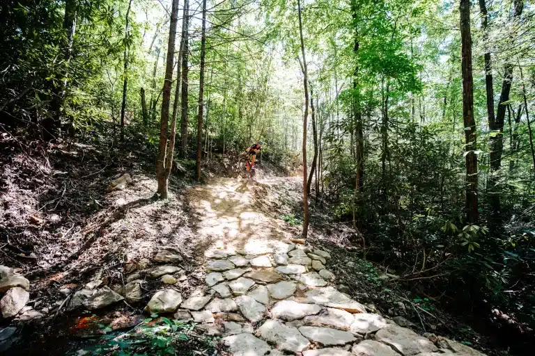 Mountain biker passes through a scenic section of an MTB trail in the Smokies