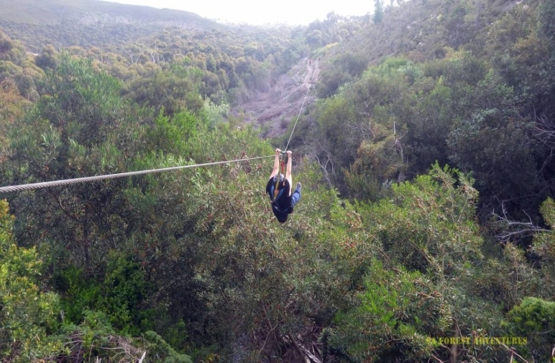 Person flies down K3 zipline in South Africa, soaring high above a forest