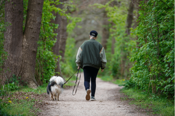 Man walks dog on pet-friendly trail